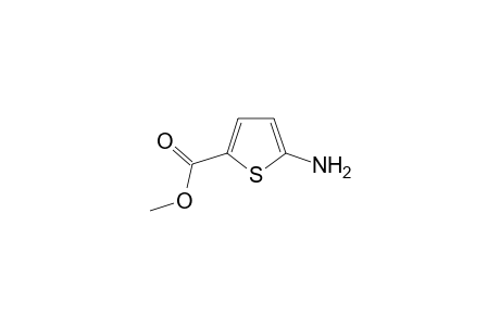 2-Thiophenecarboxylic acid, 5-amino-, methyl ester
