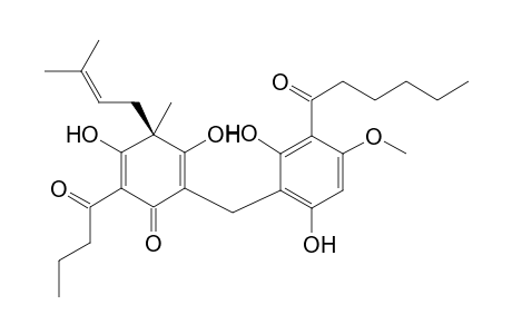 Elaphopilosin E