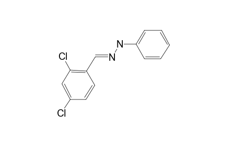 N-Phenyl-N'-(2,4-dichlorobenzylidene)hydrazine