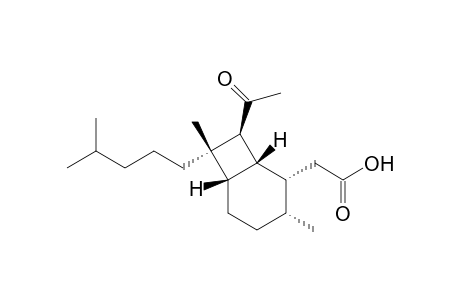 Bicyclo[4.2.0]octane-2-acetic acid, 8-acetyl-3,7-dimethyl-7-(4-methylpentyl)-, [1R-(1.alpha.,2.beta.,3.beta.,6.alpha.,7.beta.,8.alpha.)]-