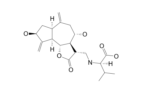 PULCHELLAMINE_E