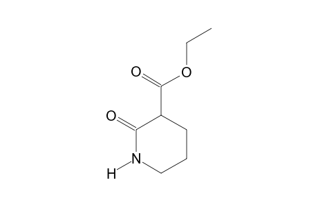 2-oxonipecotic acid, ethyl ester