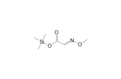 Acetic acid, (methoxyimino)-, trimethylsilyl ester