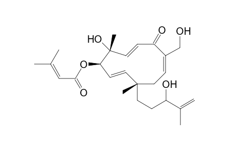 Vibsanol B