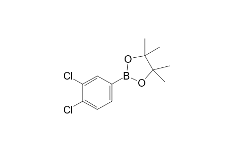 1,2-DICHLORO-4-(4,4,5,5-TETRAMETHYL-1,3,2-DIOXABOROLAN-2-YL)-BENZENE