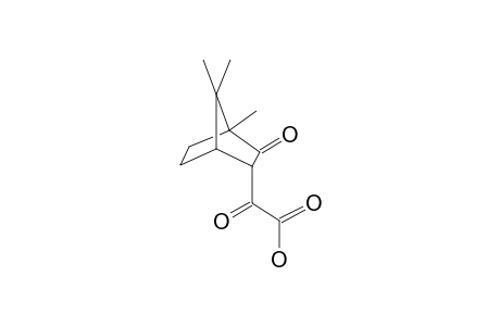 (2-oxo-3-Bornyl)glyoxylic acid