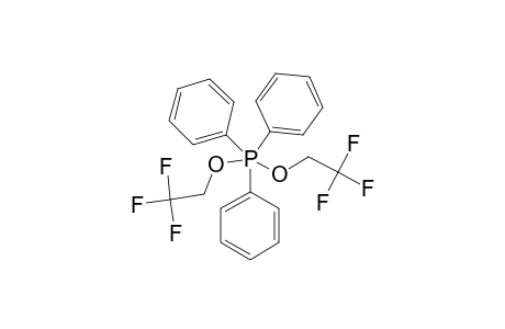 PHOSPHORANE-#1/8