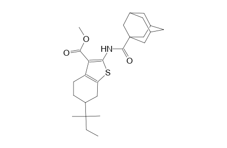 methyl 2-[(1-adamantylcarbonyl)amino]-6-tert-pentyl-4,5,6,7-tetrahydro-1-benzothiophene-3-carboxylate