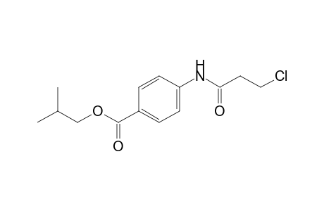 4-(3-chloropropionamido)benzoic acid, isobutyl ester