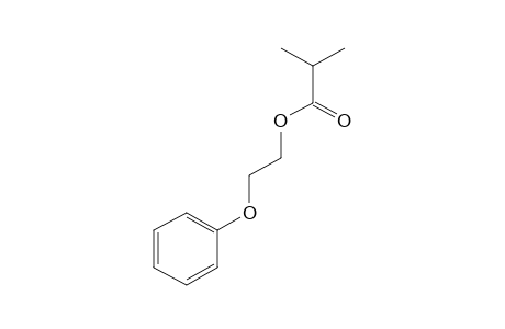 2-Phenoxyethyl isobutyrate