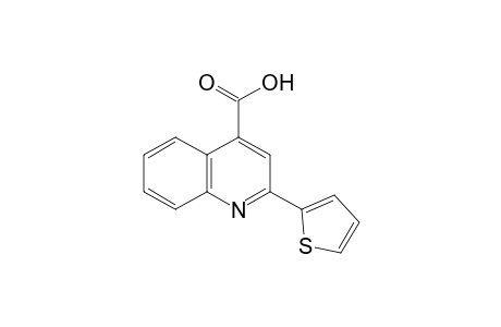 2-(2-thienyl)cinchoninic acid