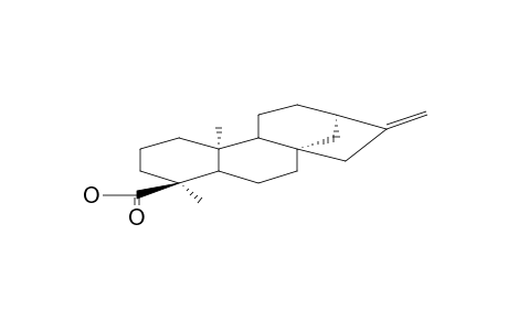 ENT-KAUR-16-EN-18-OIC ACID