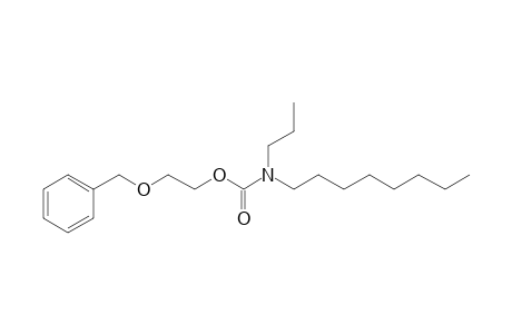 Carbonic acid, monoamide, N-propyl-N-octyl-, 2-(benzyloxy)ethyl ester