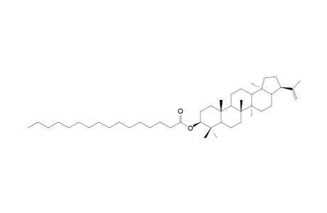 MORETENYL-PALMITATE