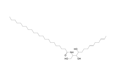 Cer 14:2;3O/22:0