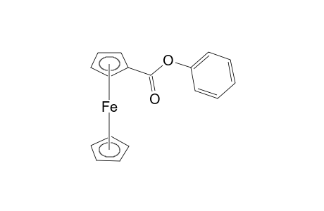 ferrocenecarboxylic acid, phenyl ester