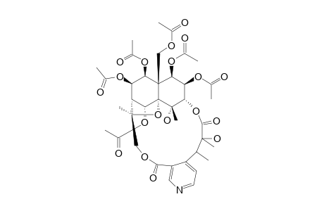 WILFORDININE-B;1-BETA,2-BETA,5-ALPHA,7-BETA,8-BETA,11-HEXA-ACETOXY-3-ALPHA,15-[2'-HYDROXY-2',3'-DIMETHYL-3'-(3''-CARBOXY-4''-PYRIDYL)-PROPANOIC-AC