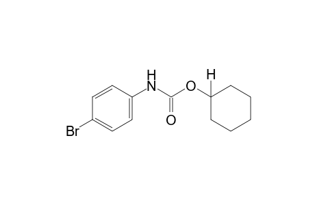 p-bromocarbanilic acid, cyclohexyl ester