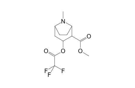Cocaine-M/A (methylecgonine) TFA    @