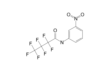 3-Nitroaniline, N-heptafluorobutyryl-