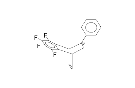 5-PHENYL-2,3-TETRAFLUOROBENZOBICYCLO[2.2.2]OCTA-2,7-DIEN-5-YL CATION