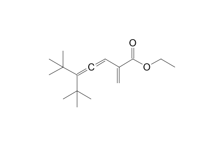 Ethyl 6,6-dimethyl-2-methylene-5-(1',1'-dimethylethyl)-3,4-heptadienoate