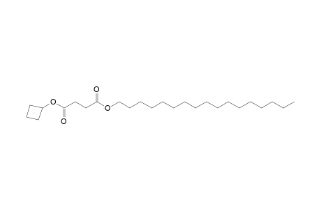 Succinic acid, cyclobutyl heptadecyl ester