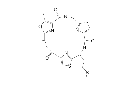 TENUECYClAMIDE_C