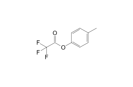 4-Methylphenyl trifluoroacetate