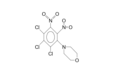 4-(2,3-dinitro-4,5,6-trichlorophenyl)morpholine