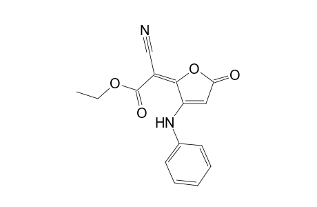 .beta.-Anilino-.gamma.-cyanocarboethoxymethylidene-.delta.(.alpha.,.beta.)-butenolide