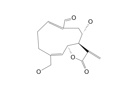 UROSPERMAL A