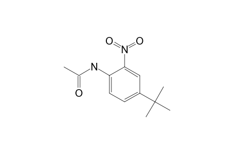 4'-tert-butyl-2'-nitroacetanilide