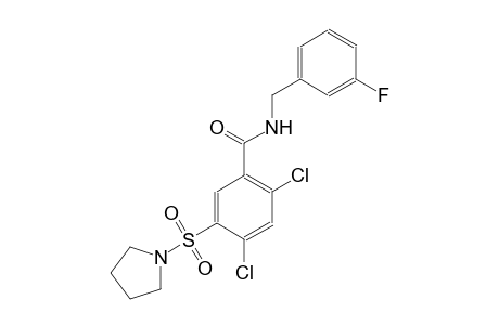 benzamide, 2,4-dichloro-N-[(3-fluorophenyl)methyl]-5-(1-pyrrolidinylsulfonyl)-