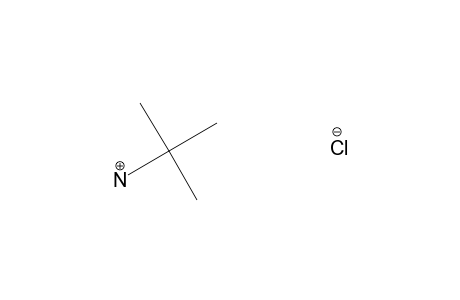 tert-butylamine, hydrochloride