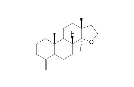 5-METHYLIDENE-15-OXA-ANDROSTANE