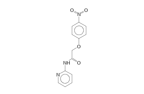 2-(4-nitrophenoxy)-N-(2-pyridinyl)acetamide