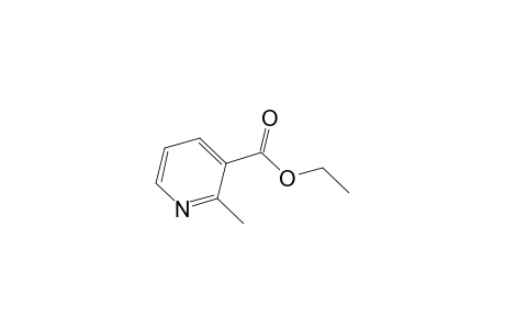 Ethyl 2-methylnicotinate