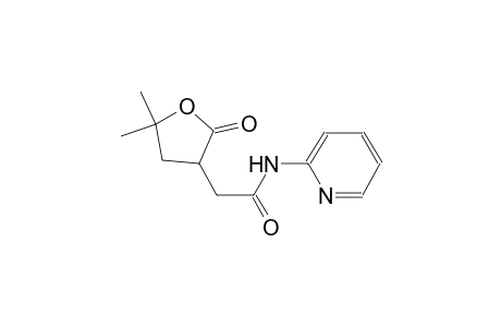 2-(5,5-dimethyl-2-oxotetrahydro-3-furanyl)-N-(2-pyridinyl)acetamide