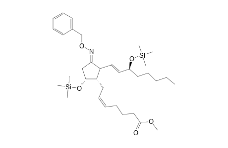 Prostaglandin D-2 bz oxime methyl ester 2TMS