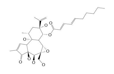 VESICULOSIN