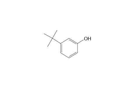 3-Tert-butylphenol