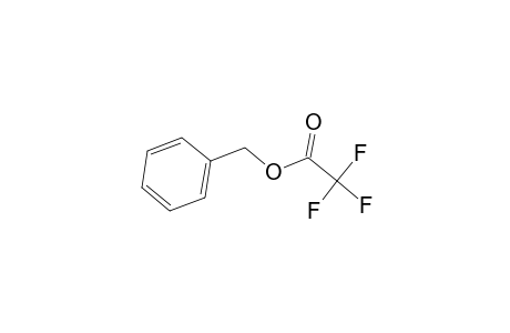 BENZYL-TRIFLUOROACETATE