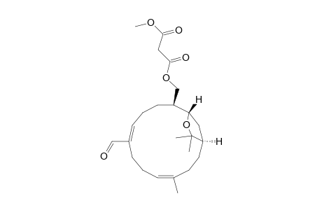 14-Oxabicyclo[11.2.1]hexadecane, propanedioic acid deriv.