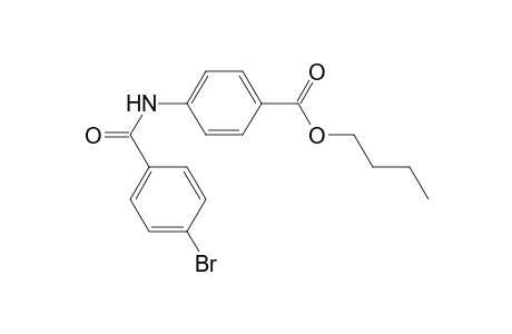 4-(4-Bromo-benzoylamino)-benzoic acid butyl ester