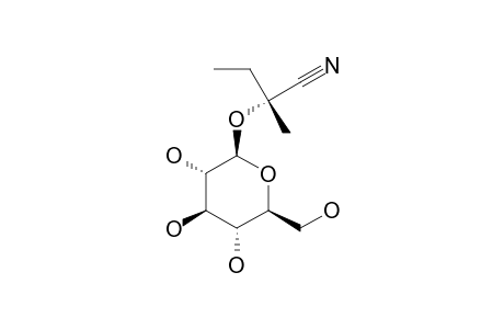 LOTAUSTRALIN;(R)-2-(BETA-D-GLUCOPYRANOSYLOXY)-2-METHYLBUTANENITRILE