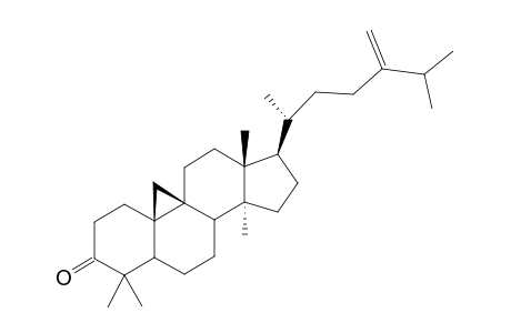 3-OXO-24-METHYLENECYCLOARTAN