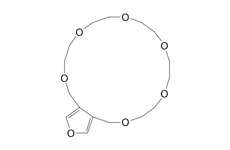 3,4-(2',5',8',11',14',17'-Hexaoxaoctadecano)furan