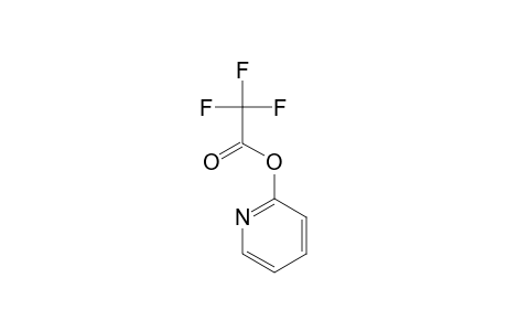 2-(Trifluoroacetoxy)pyridine