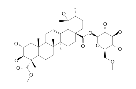 2-ALPHA,3-BETA,19-ALPHA-TRIHYDROXY-URS-12-ENE-23,28-DIOIC-ACID-23-METHYLESTER-28-O-(6'-O-METHYL-BETA-D-GLUCOPYRANOSYL)-ESTER